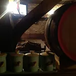Bazoteva House Kovačevica
