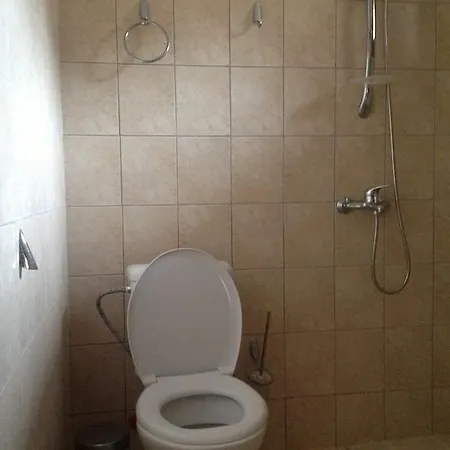 базотева къща Ковачевица