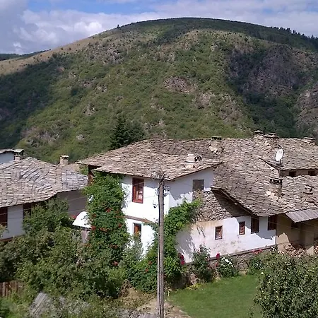 Guest house Bazoteva House